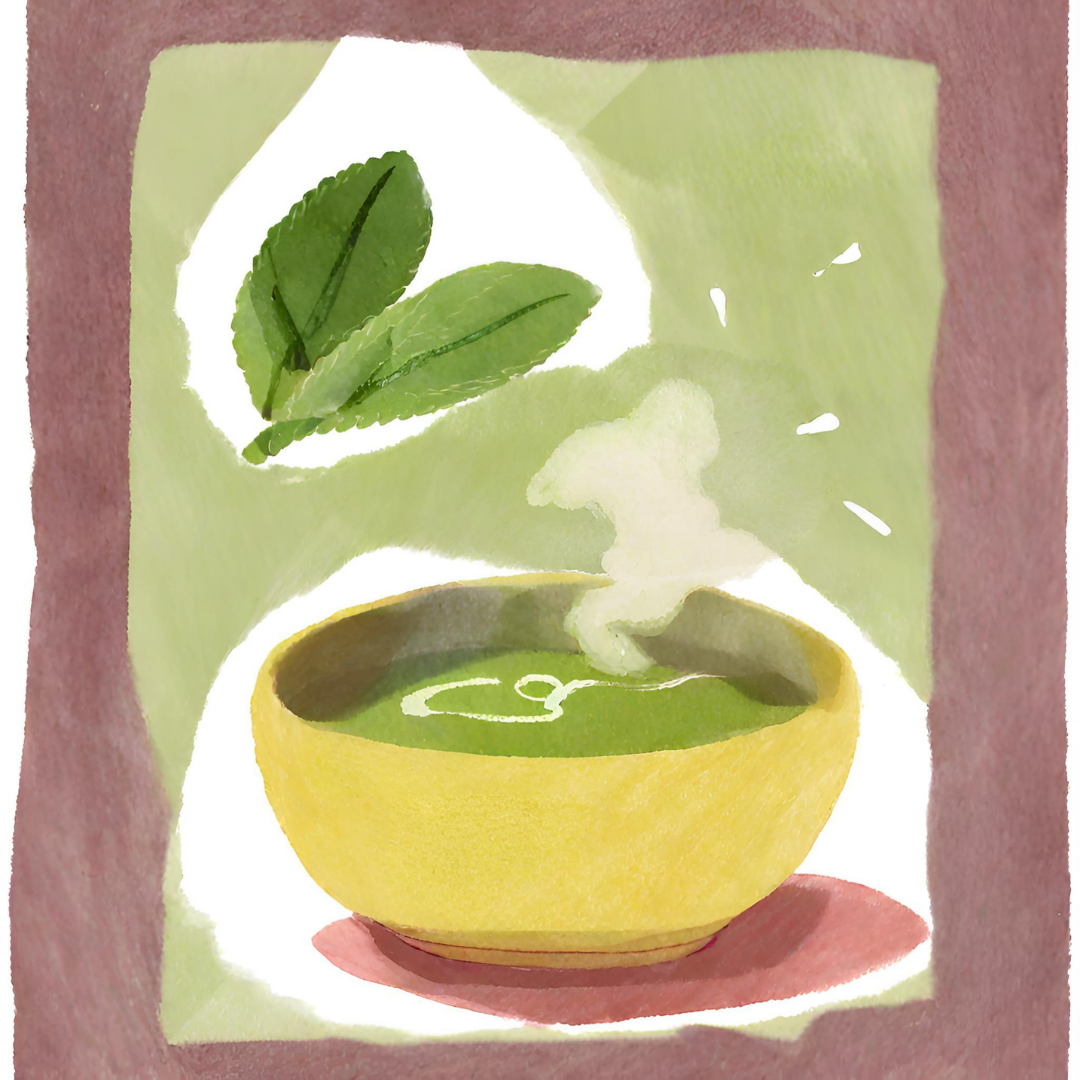 Unlocking the Power of Sencha: Key Benefits and Introduction