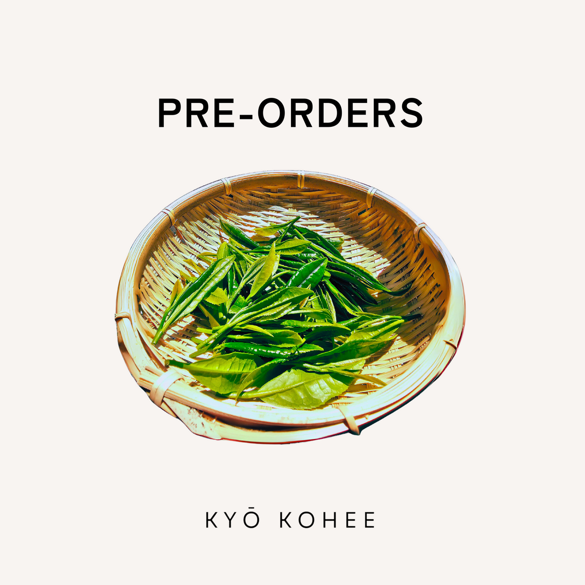 Kohee Collections – KYŌ KOHEE